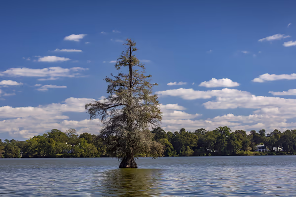 University Lake photo 2
